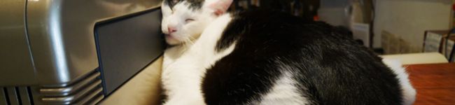 さっぷぷ's header image