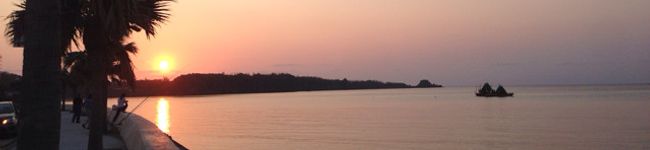 nocochi's header image