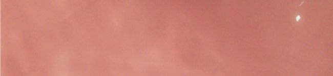 すずーな's header image