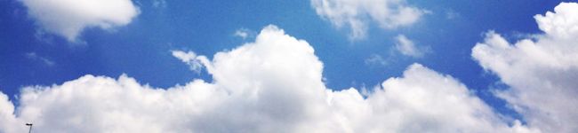 はなこっく's header image