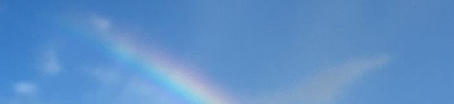 aki⭐︎'s header image