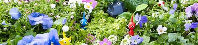 ののやまさやか's header image