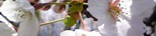 ７０３っくす's header image