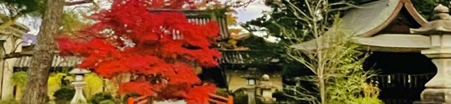 まもみい２０１０♡'s header image