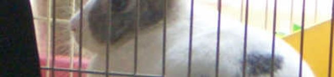 smapkayo's header image