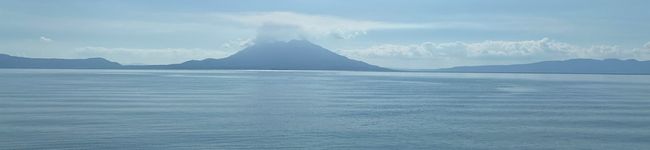 釣れた魚で簡単メシ's header image