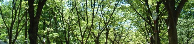 kokororo's header image
