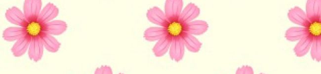 ＊yupipi＊'s header image