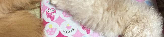 つーくんmama♡'s header image