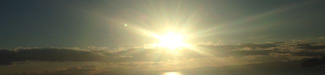 SunnyCook's header image