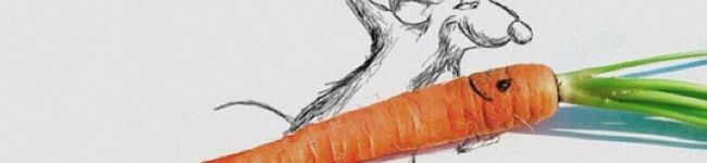 kiyochan❤︎'s header image