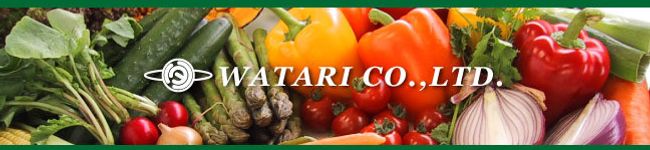 ワタリ's header image