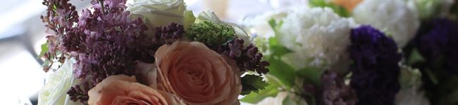 フジコkitchen's header image