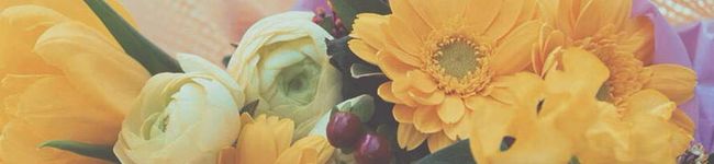asakuma35's header image
