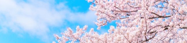 ＊花夏＊'s header image