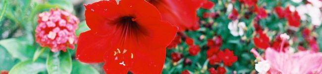 y.nana's header image