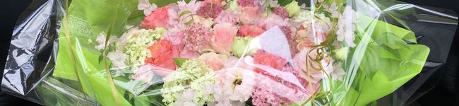 オートミール♡'s header image