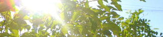 shinhito's header image