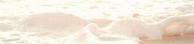 orange365's header image
