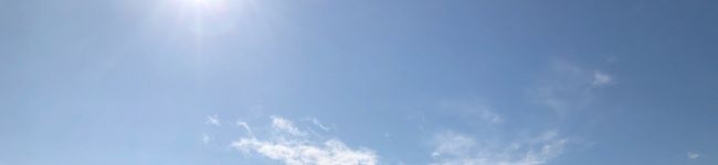 よねこ。's header image