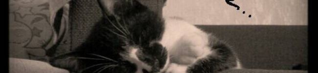 ruiiiimama's header image