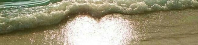 うさぎの料理's header image
