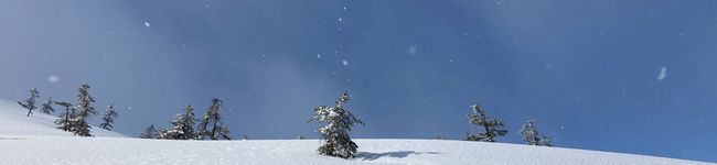 ana’s_kit's header image