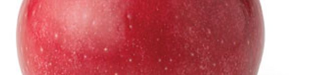 aya-u.s.a's header image
