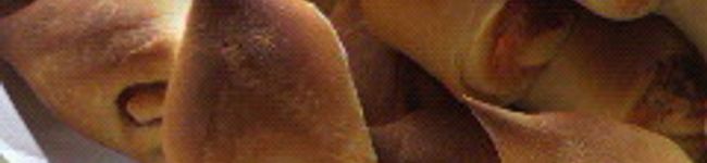 ひさら's header image