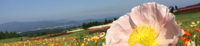 gohantukur's header image