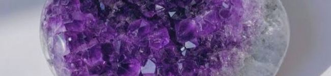 SB.MOA's header image