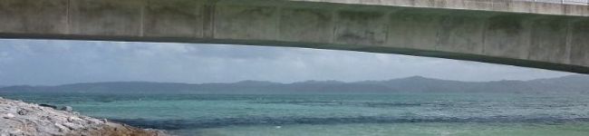 naoc25's header image
