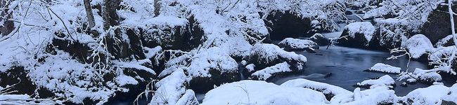 青麺記's header image