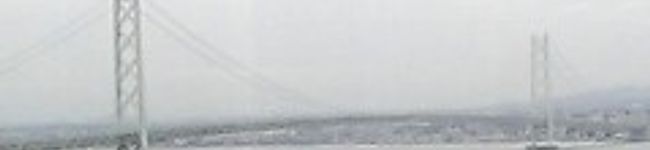 蔓唐草's header image