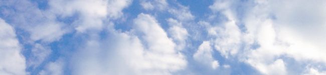 Maiko亭☆'s header image