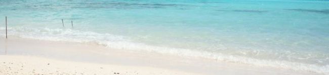 *ＴＫ*'s header image