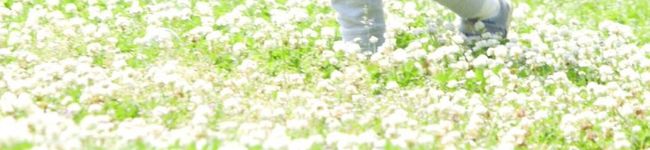 ❁yukiんこ❁'s header image