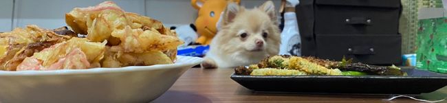 くしもりキッチン's header image