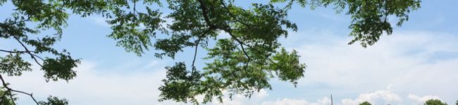 café＊leaf's header image