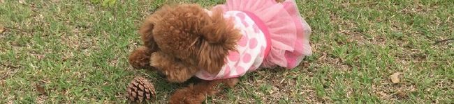 おまめちゃん♥️'s header image