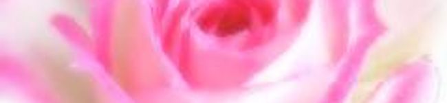 華那衣's header image