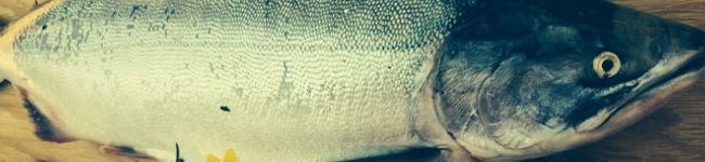 魚食系男子☆'s header image