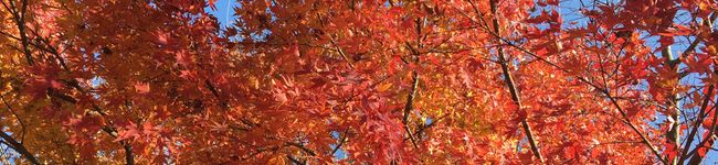綾介7318's header image