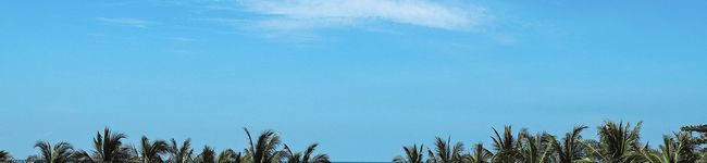yummy_YOGA's header image
