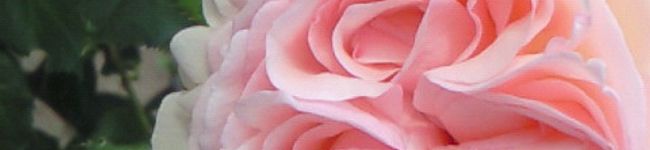 アトマナ's header image