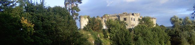 tamamoci's header image