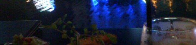 pockyyy's header image