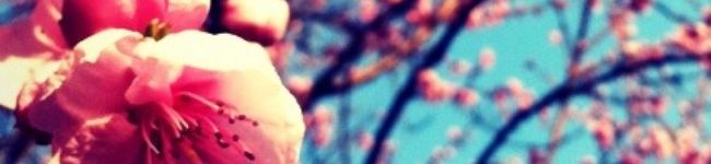 おゆまるる's header image