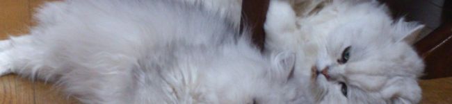 malie's header image