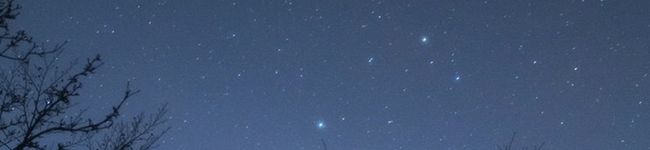 ポケポンピン's header image